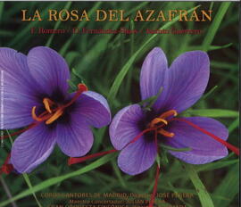 La rosa del azafrán : zarzuela en dos actos y seis cuadros
