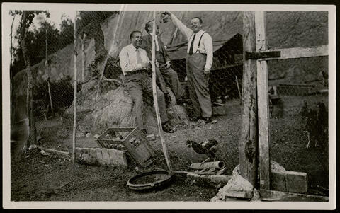 Open original Digital object